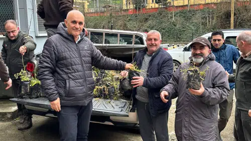 Hemşin’de Orman Haftası Etkinliği: Vatandaşlara Ücretsiz Fidan Dağıtıldı