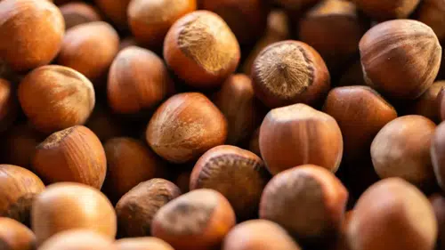 Fındık ihracatında 6 aylık gelir 1,17 milyar doları aştı