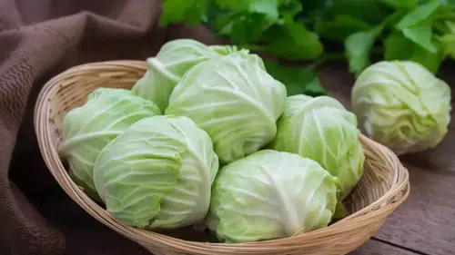 En Kolay Lahana Nasıl Haşlanır? 5 Adımda Pratik Lahana Haşlama Rehberi