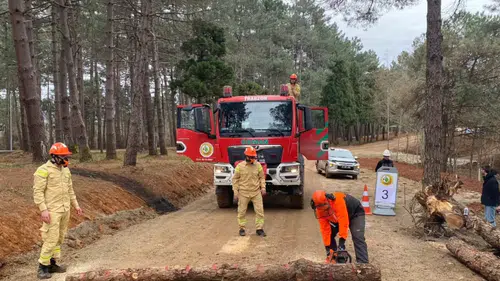 Türkiye Ormancılık Yarışmaları İçin Geri Sayım: Trabzon’da Hazırlıklar Sürüyor