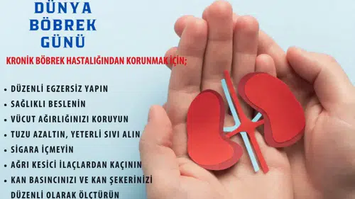 12 Mart Dünya Böbrek Günü: Sağlıklı Çevre, Sağlıklı Böbrekler İçin Farkındalık Çağrısı