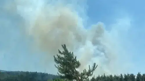 Osmaniye’nin Sumbas ilçesinde orman yangını