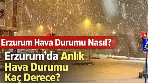 11 Mart 2026 Erzurum Hava Durumu: Kar Yağışı Bekleniyor mu, Sıcaklık Kaç Derece?