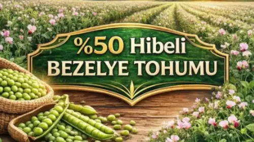 Bayburt’ta Üreticilere %50 Hibeli Bezelye Tohumu Desteği