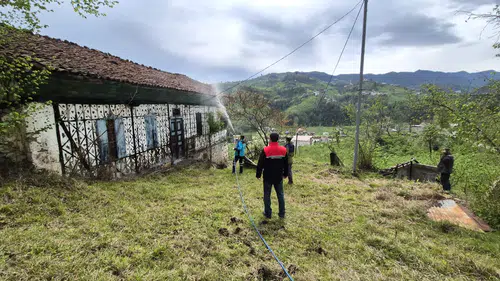 Kahverengi Kokarca ile Mücadele Araklı’da Sürüyor