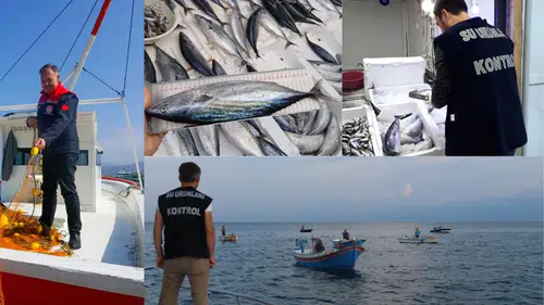 Palamut ve Torik Av Yasağıyla Denetimler Artırıldı