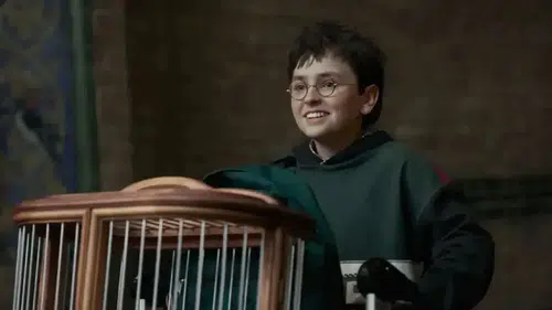 Harry Potter Dizisi Hakkında Yeni Ayrıntılar: Yayın Tarihi, Platform, Bölüm Sayısı ve Oyuncu Kadrosu!