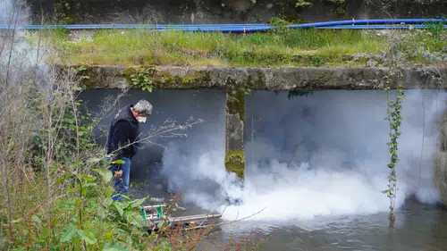Rize’de Sivrisineklerle Mücadele Başladı