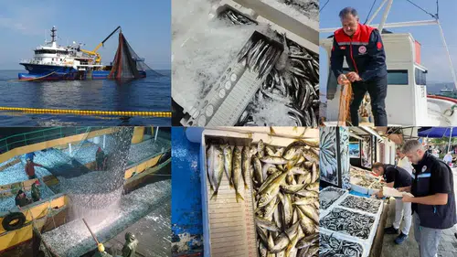 15 Nisan İtibarıyla Balıkçılıkta Genel Av Yasağı Başladı