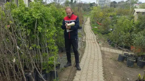 Akçaabat’ta Fidan Bayilerine Zararlı Denetimi: Üreticilere Uyarı