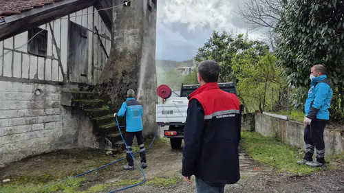Arsin’de Kahverengi Kokarca ile Mücadele Sürüyor