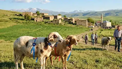 2026 Kurban Bayramı Tatili Ne Kadar Sürecek?