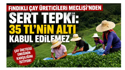 Fındıklı Çay Üreticileri Meclisi’nden Sert Tepki: 35 TL’nin Altı Kabul Edilemez