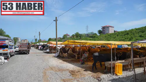Ortahisar Belediyesi’nden Kurban Bayramı Hazırlığı