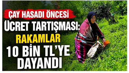Çay Hasadı Öncesi Ücret Tartışması: Rakamlar 10 Bin TL’ye Dayandı