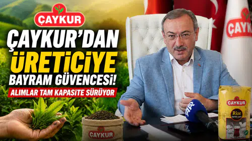 ÇAYKUR, Kurban Bayramı'nda yaş çay alımlarına tam kapasiteyle döndü!