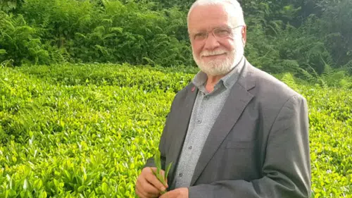 Saadet Partisi'nden Çay Rekoltesinde Düşüş Uyarısı: Taban Fiyat 40 TL Olmalı!