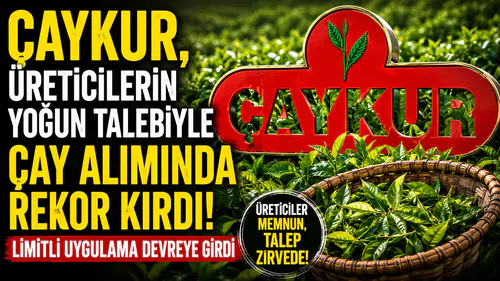 ÇAYKUR, üreticilerin yoğun talebiyle çay alımında rekor kırdı, limitli uygulama devreye girdi