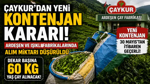 ÇAYKUR'dan Yeni Kontenjan Kararı! Ardeşen ve Işıklı Fabrikalarında Alım Miktarı Düşürüldü