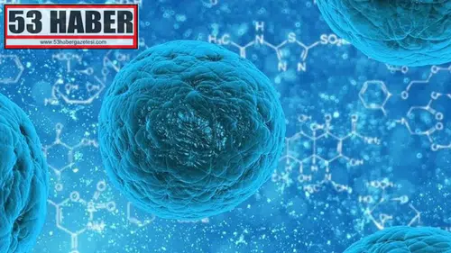 Norovirüs Nedir? Belirtileri ve Tedavi Seçenekleri Hakkında Bilgiler