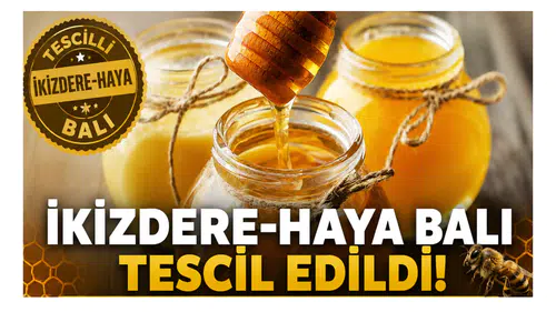 İkizdere-Haya Balı Tescil Edildi: Köyümüzün Balını Koruma ve Geliştirme Amacıyla Tescil Ettirdik