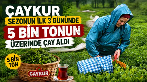 ÇAYKUR, 2026 sezonunun ilk 3 gününde 5 bin 600 ton çay aldı