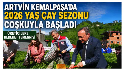 Artvin Kemalpaşa’da 2026 Yaş Çay Sezonu Coşkuyla Başladı: Üreticilere Bereket Temennisi