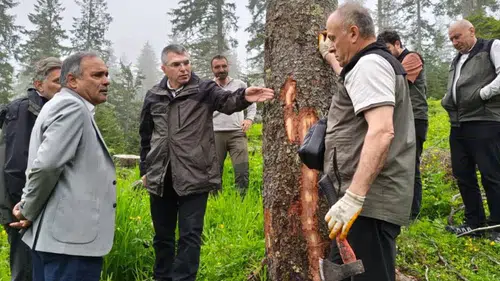 Trabzon Bölge Müdürü Demirci’den Gençleştirme Sahalarında İnceleme