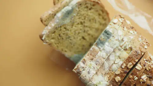 Küflü Gıdalara Dikkat! Sağlığınızı Tehdit Eden Tehlikeler ve Uzman Uyarıları