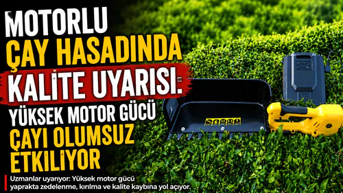 Çay Kalitesini Düşüren Makinelere Dikkat: Uzman Motor Güçlerini Gözden Geçirin Uyarısında Bulundu!