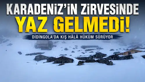Karadeniz'in Zirvesinde Yaz Gelmedi: Didingola'da Kış Hâlâ Hüküm Sürüyor