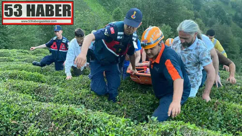Çayeli’nde Çaylık Arazide Mahsur Kalan Vatandaş Ekiplerin Müdahalesiyle Kurtarıldı