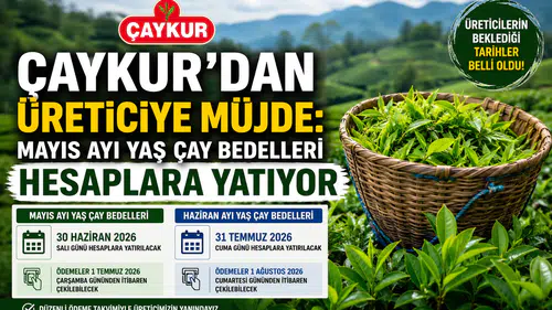 ÇAYKUR Mayıs Ayı Yaş Çay Bedellerini Bugün Hesaplara Yatırıyor