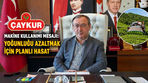 ÇAYKUR'dan Makine Kullanımı Mesajı: Yoğunluğu Azaltmanın Yolu Planlı Hasat