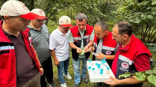 Beşikdüzü'nde Kahverengi Kokarcaya Karşı Biyolojik Mücadelede Sevindiren Gelişme