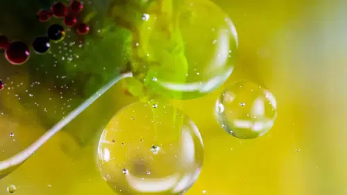 Osmanlı Hekimlerinin Yaz Aylarının Vazgeçilmezi: Serinletici İçeceklerin Sırrı!
