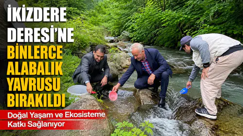 İkizdere Deresi'ne Binlerce Alabalık Yavrusu Bırakıldı
