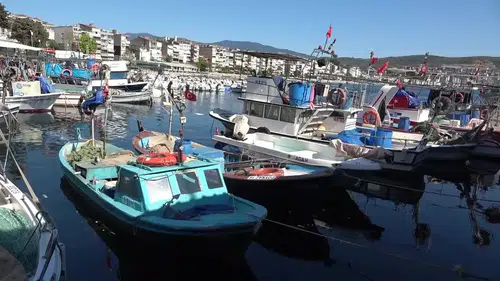 Bursa'nın Tecrübeli Balıkçıları Müsilaj ve Düşük Avcılık Bilinci ile Mücadele İçin Çözüm Peşinde!