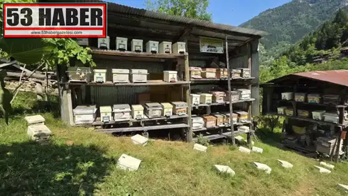 Artvin Macahel’de 2026 Bal Hasadı Coşkuyla Kutlandı