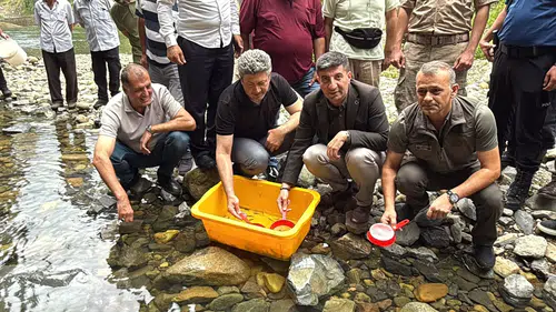 Güneysu Derelerine Doğal Alabalık Bırakıldı