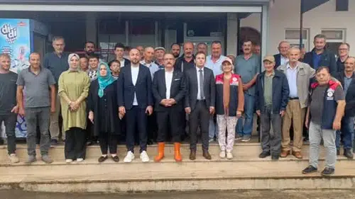 Vakfıkebir’de İkinci Sürgün Çay Hasadı Başladı: Kaymakam Ulusoy Üreticilerle Çay Kesti
