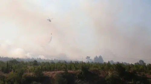 5 Şehirdeki Orman Yangınlarının Sonuçları Açıklandı