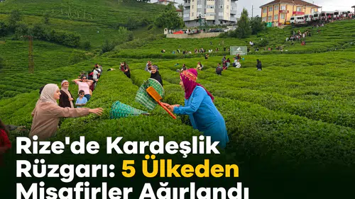 Rize’de Kardeşlik Rüzgârı: 5 Ülkeden Gelen Gençler Çay Topladı