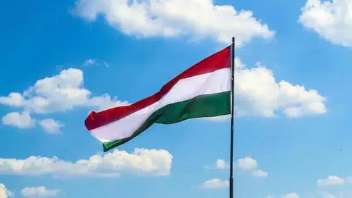 Macaristan'da Cumhurbaşkanlığı Koltuğuna Yeni İsim Oturdu!