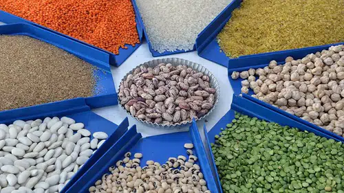 "Güvelere Karşı Etkili Önlemler: Mercimek, Pirinç, Nohut, Fasulye ve Bulgurun Korunması"