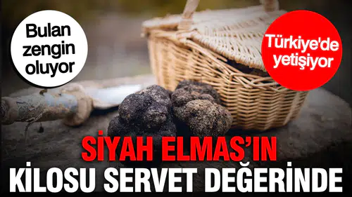 Siyah Elmas'ın Kilosu Servet Değeri Taşıyor: Türkiye'de Üretiliyor, Bulan Zenginleşiyor!