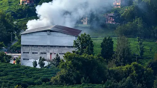 Rize’de Çay Fabrikasında Yangın: Erken Müdahale Faciayı Önledi