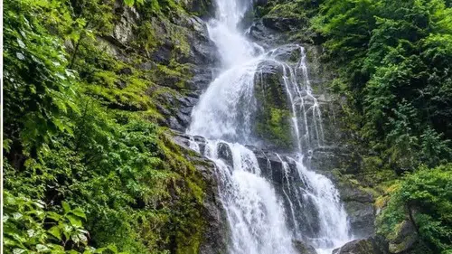 Kalkandere’nin Saklı Güzelliği Çağlayan Şelalesi Turizme Kazandırılmayı Bekliyor