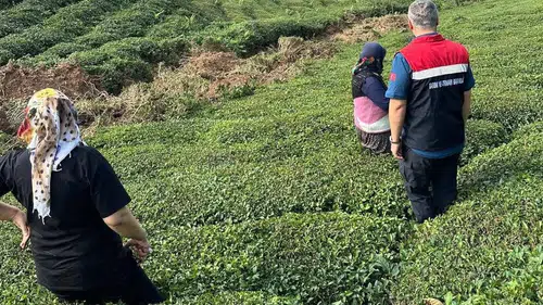 Rize’de Yoğun Yağış Sonrası Tarım Alanlarında Hasar Tespiti Başlatıldı