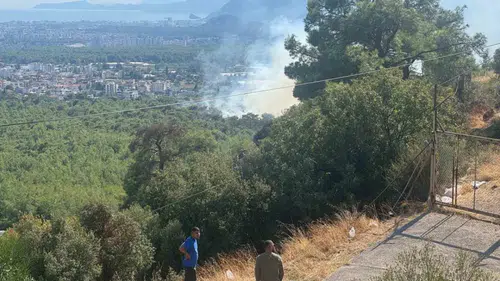 Antalya'da Cevaplanamayan Yangın: Ormanlar Tehlikede!